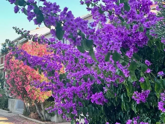 Villa Luxury Mandre House Croatie